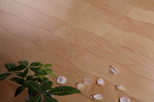 Maple curved flooring