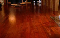 IPE/Lapacho wood flooring